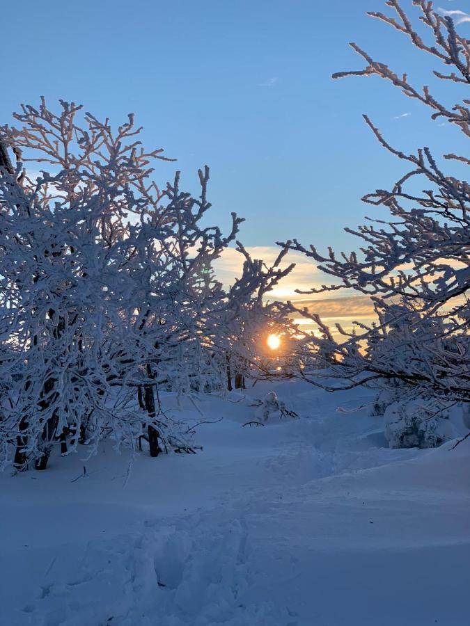 Ferienhaus Tooren Altenberg ภายนอก รูปภาพ